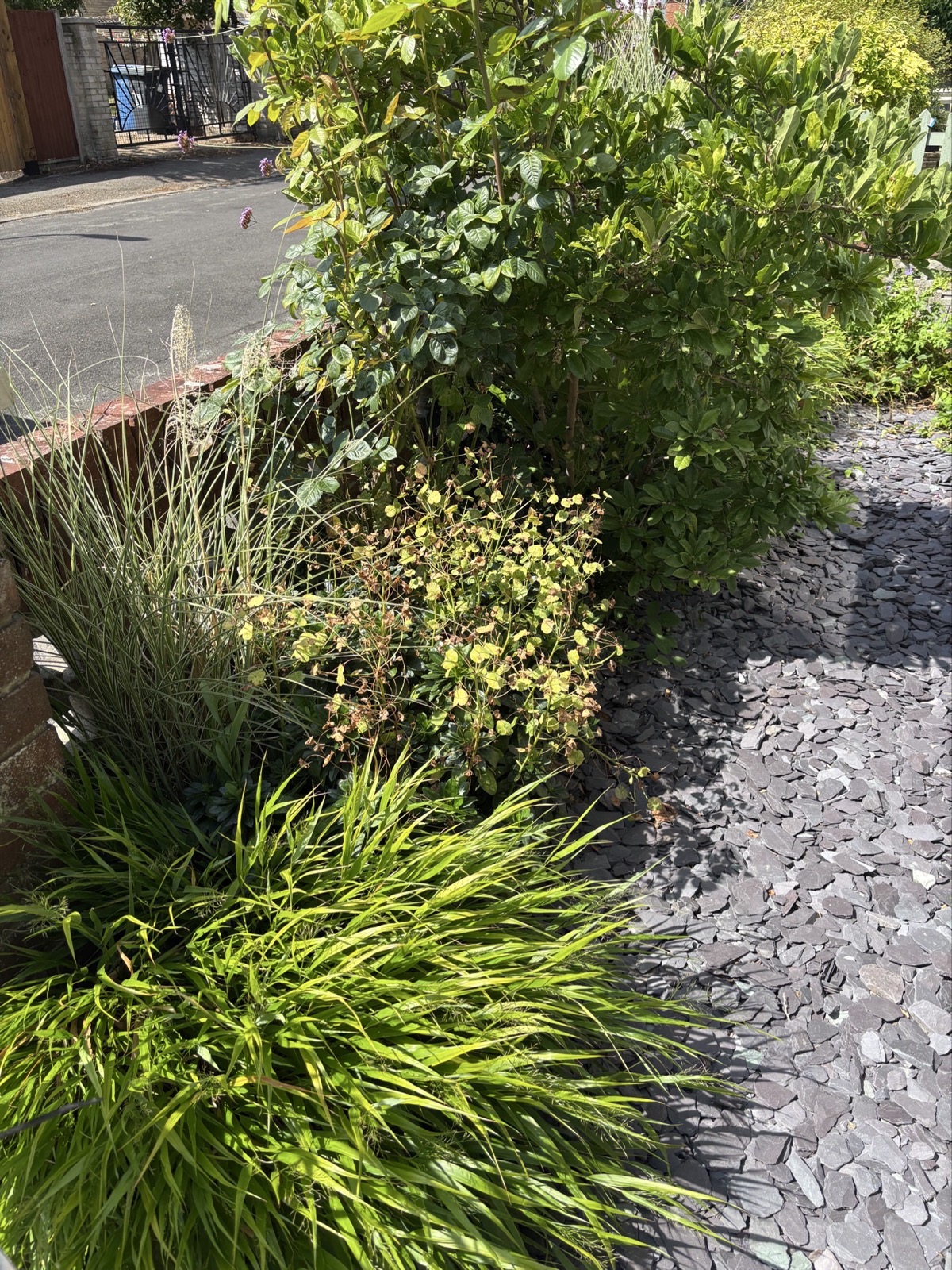 Project gallery image