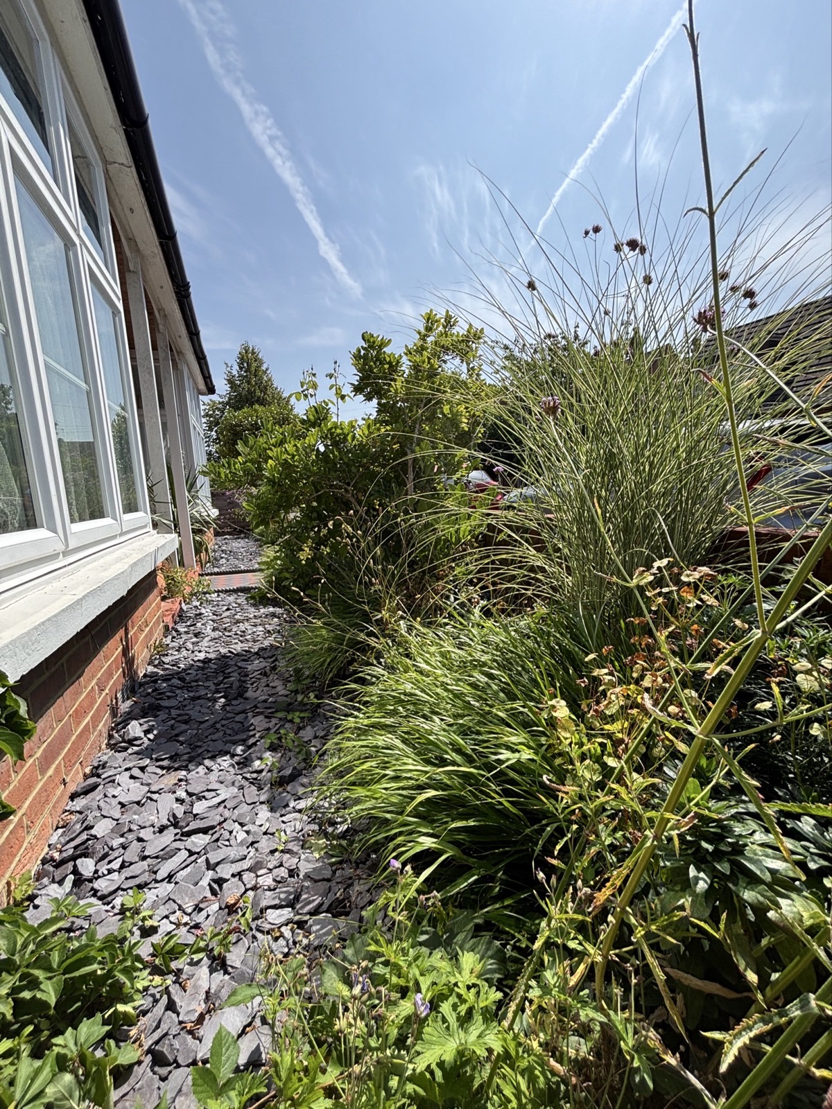 Project gallery image