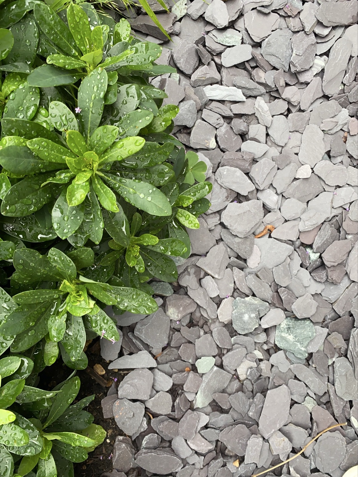 Project gallery image