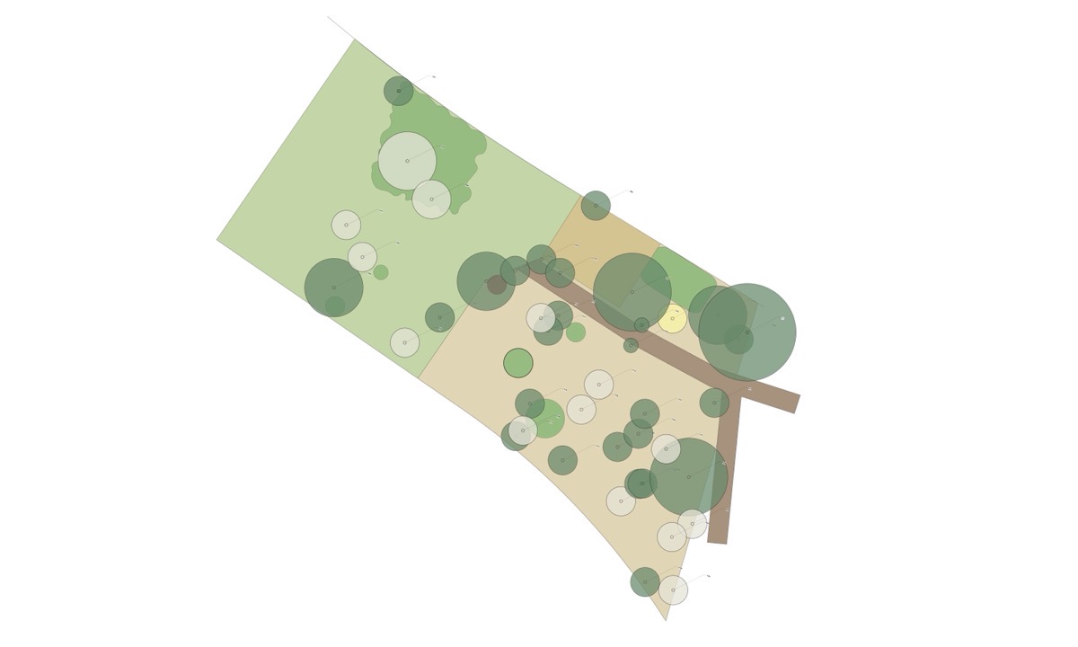 Trees plotted on a survey plan