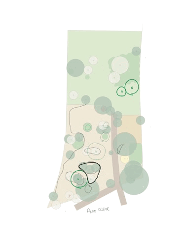 Layers being added to a garden design plan, gradually refining detail