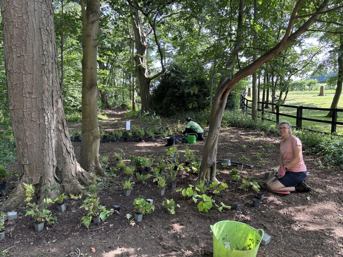 Wyld Design planting team