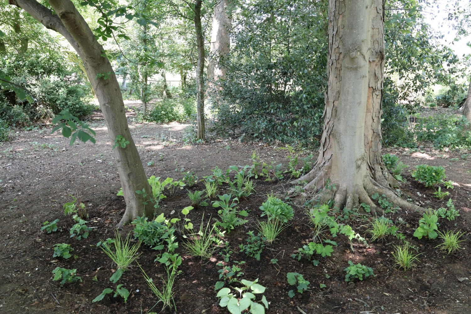 Project gallery image