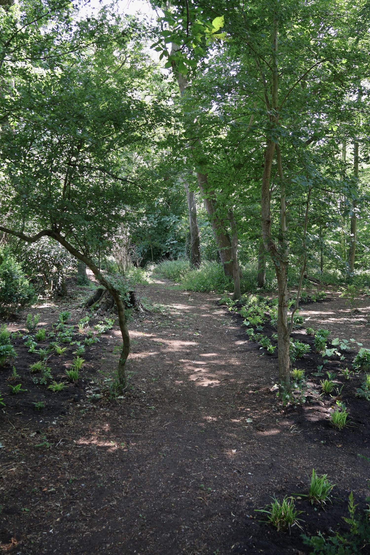 Project gallery image