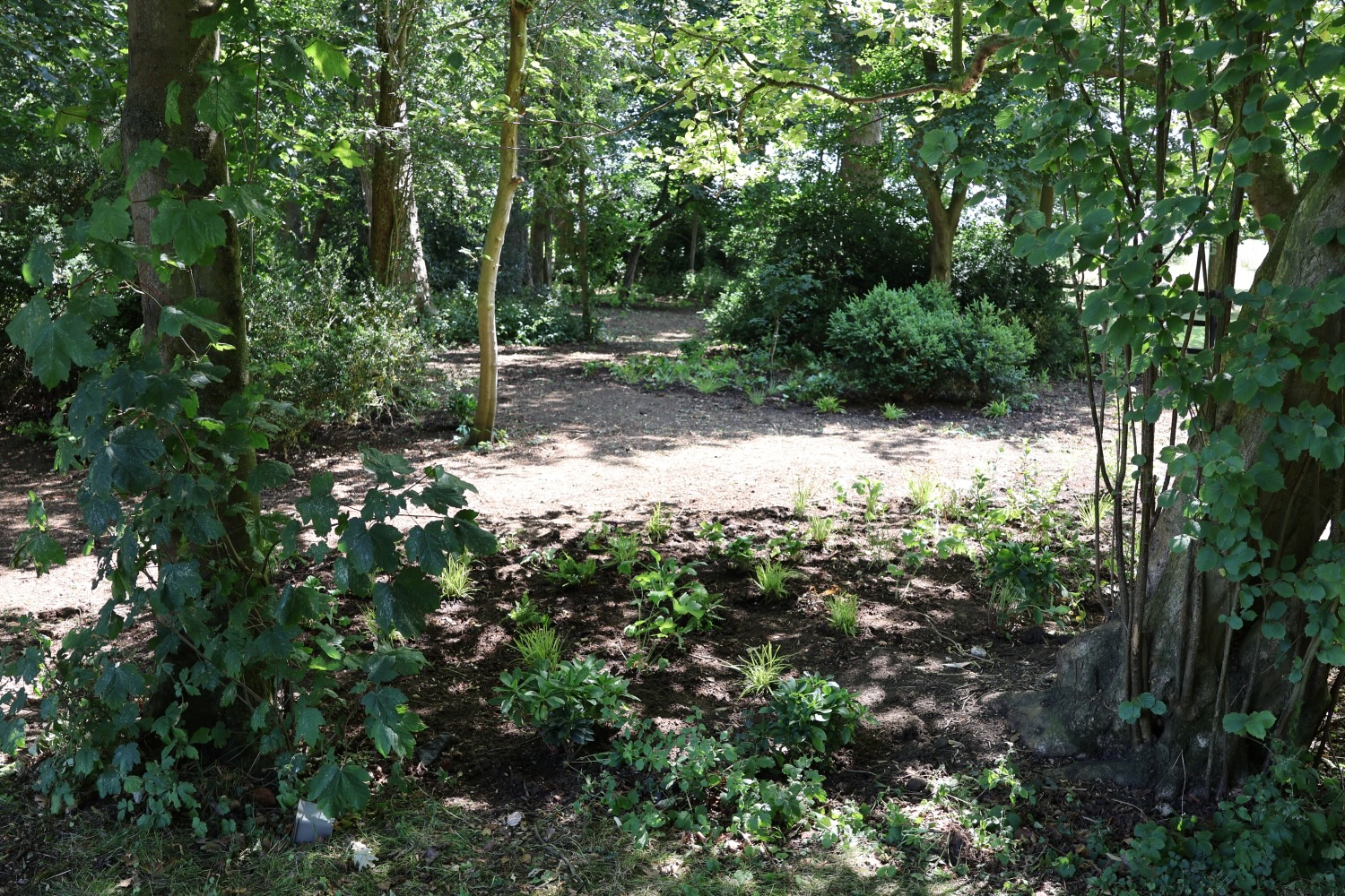 Project gallery image