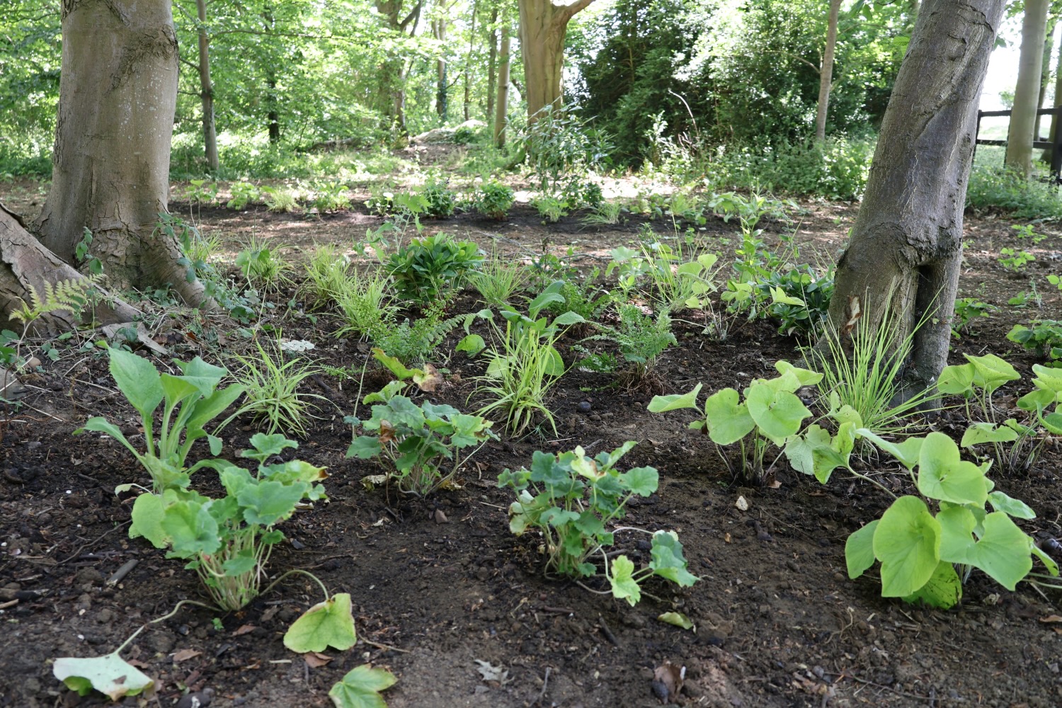 Project gallery image