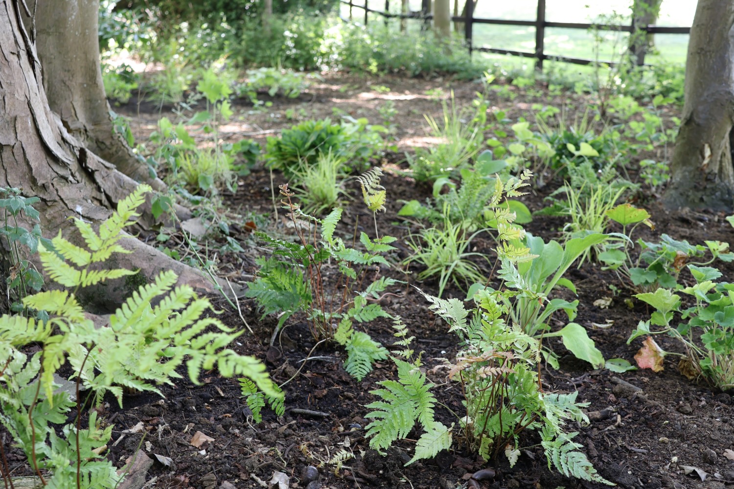 Project gallery image