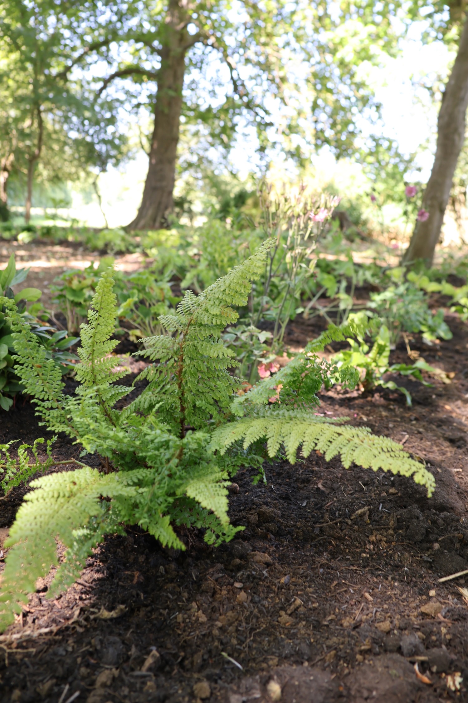 Project gallery image