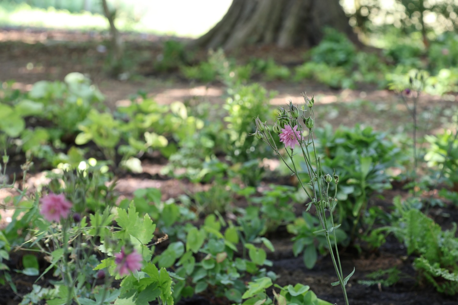 Project gallery image