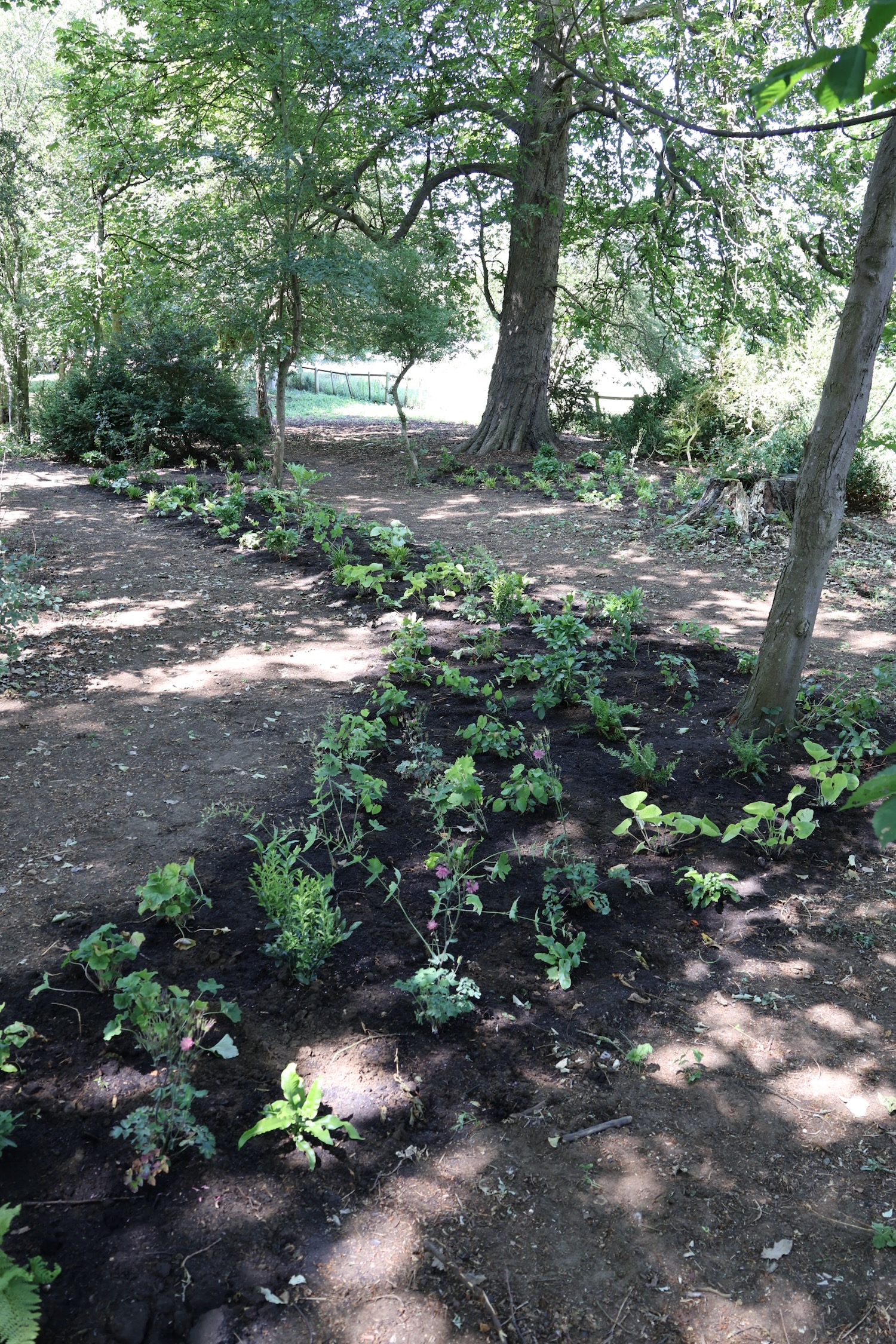 Project gallery image