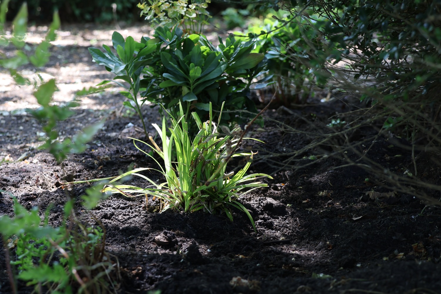 Project gallery image